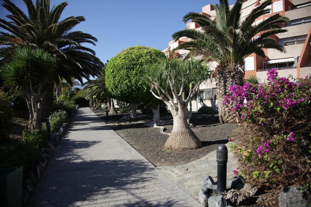 Apartamento El Cano Radazul Dış mekan fotoğraf